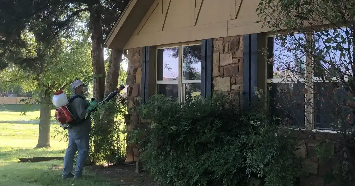 mosquito control