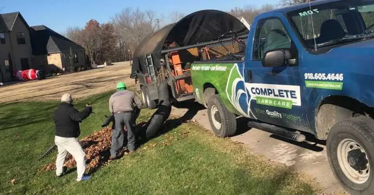 leaf removal