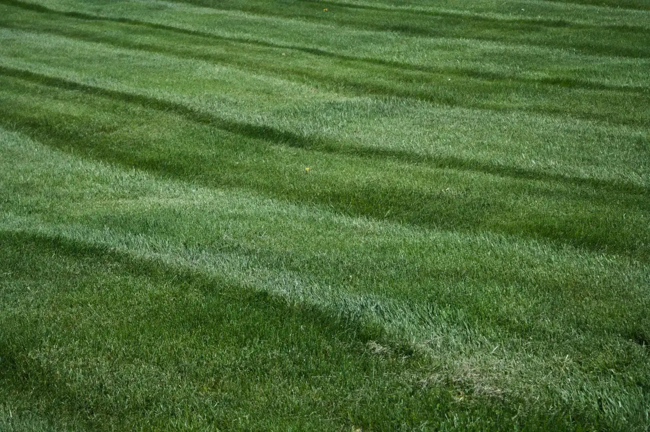 Commercial Sprinkler Repair Services