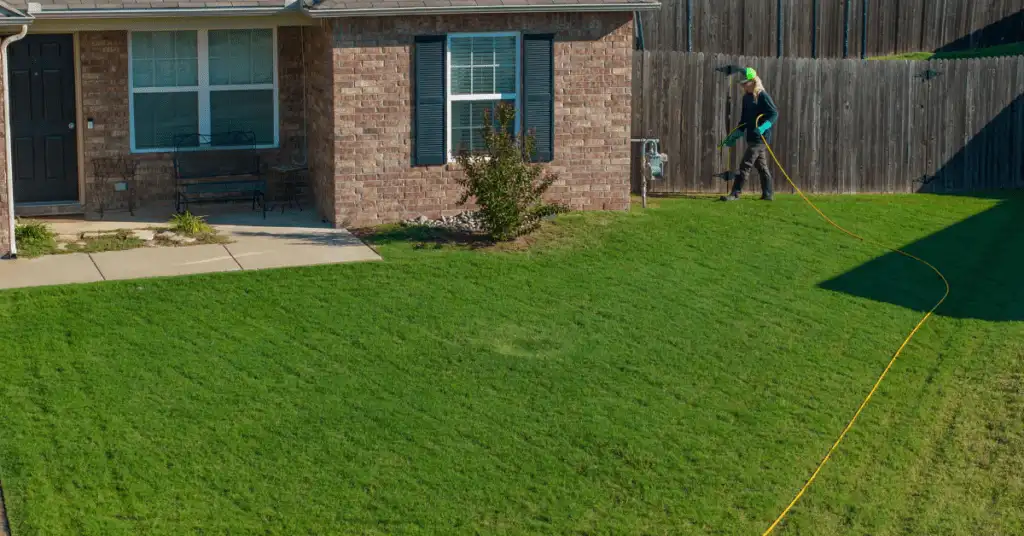 Weed control lawn care