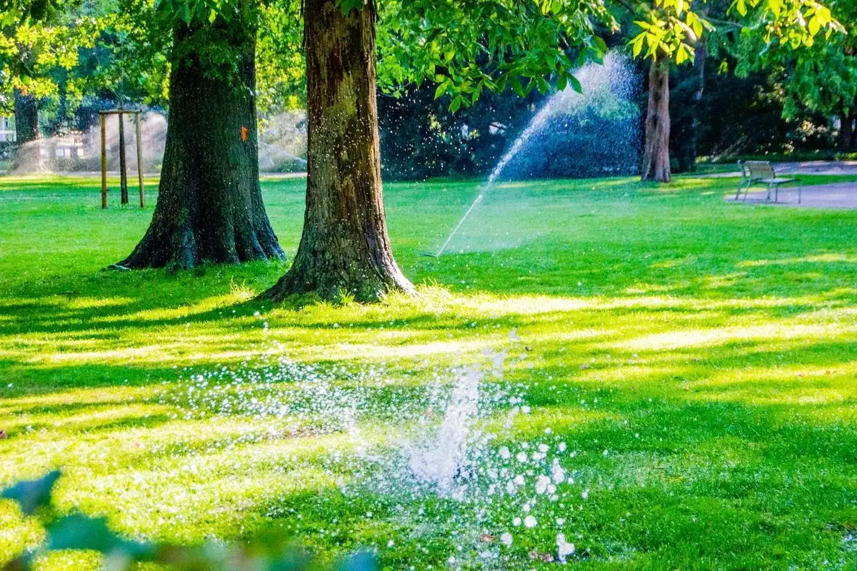 Sprinkler system running on a Tulsa metro lawn during a mid-summer irrigation tune-up