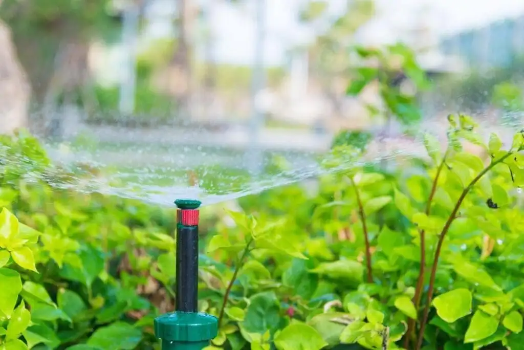 The Right Trigger: Soil Temperature, Not Calendar Date