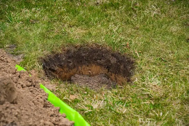 A deep hole dug by an armadillo in a residential lawn with excavated soil pushed to the side