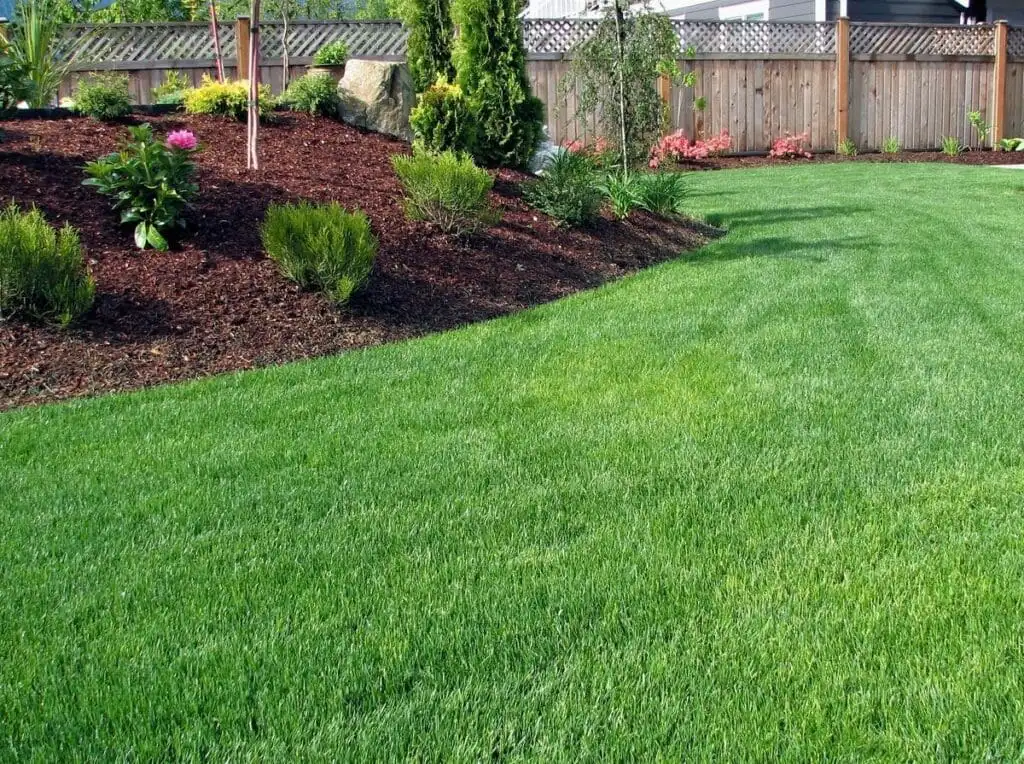 Well-mulched landscape bed alongside a healthy Tulsa-area lawn