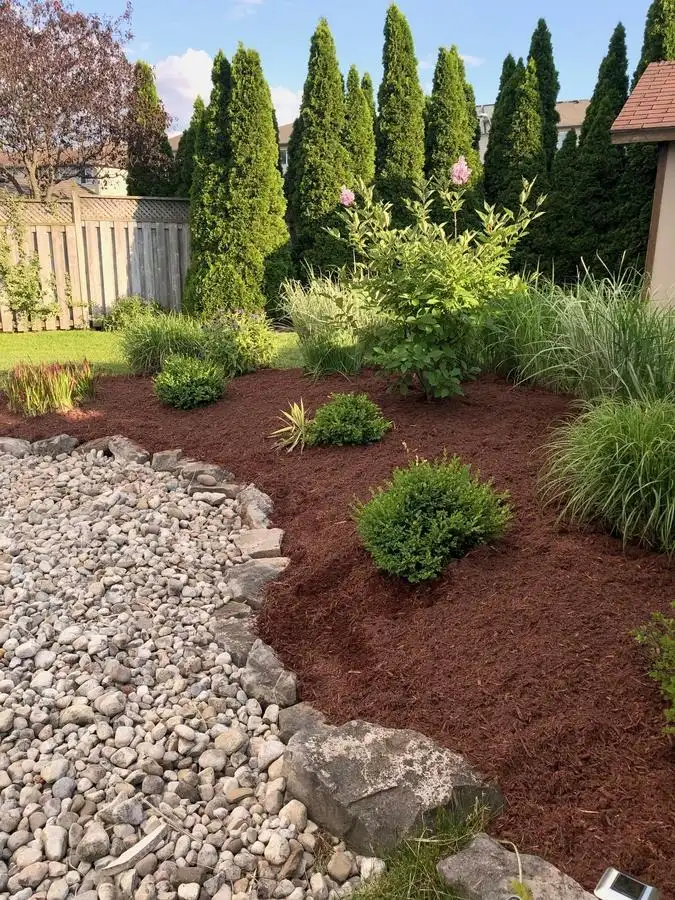 Professionally maintained landscape bed with fresh mulch around established shrubs and ornamental grasses