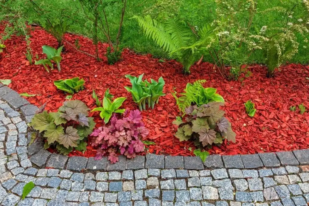 Colored mulch applied at the correct depth in a professionally edged landscape bed