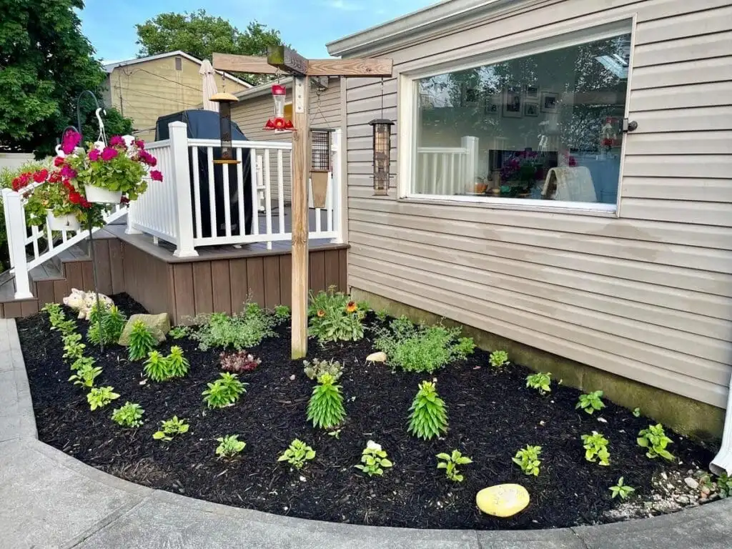 Large mulched landscape bed with established plantings