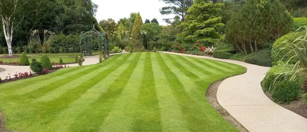 How Complete Lawn Care Creates a Professional Appearance