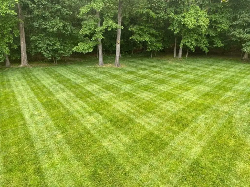 How Lawn Companies Actually Create Stripes
