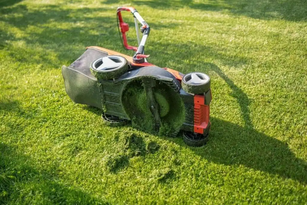 How Often Should I Sharpen My Mower Blade?