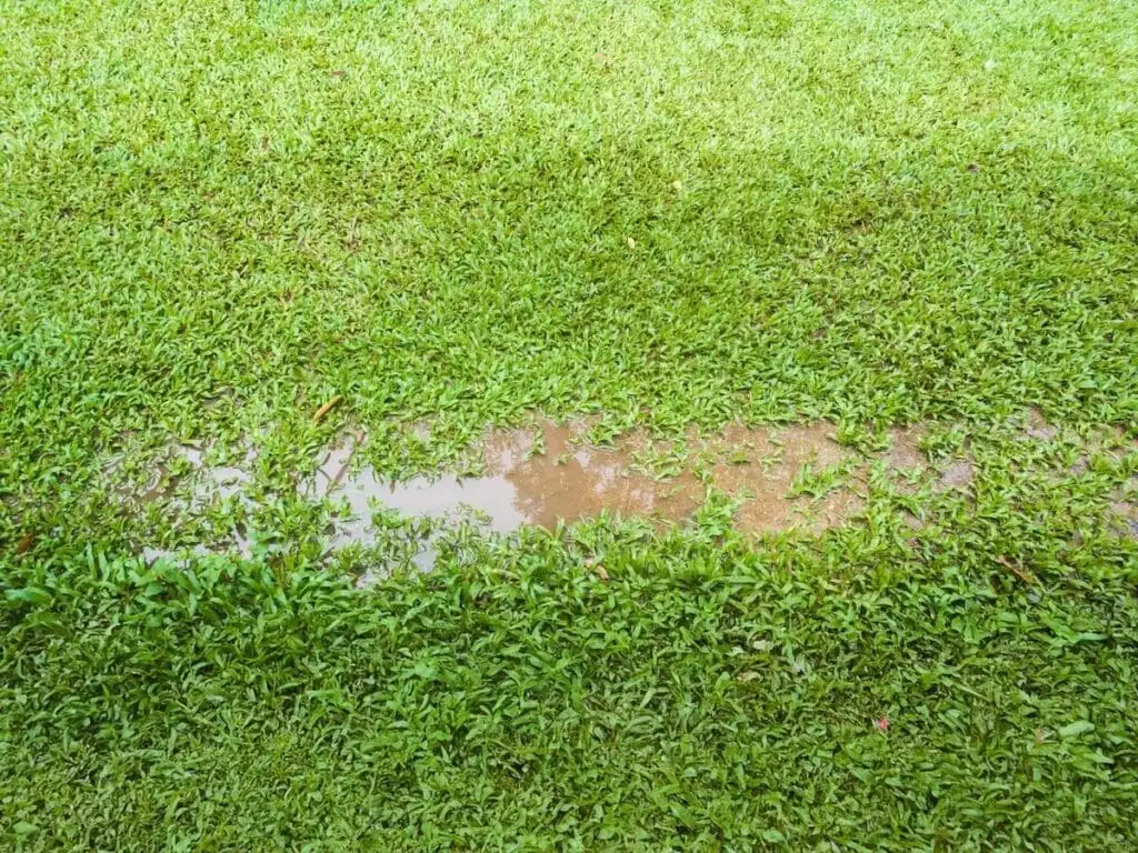 Standing water pooling in a low area of a lawn after rain — a common problem in Tulsa-area yards where clay soil limits drainage