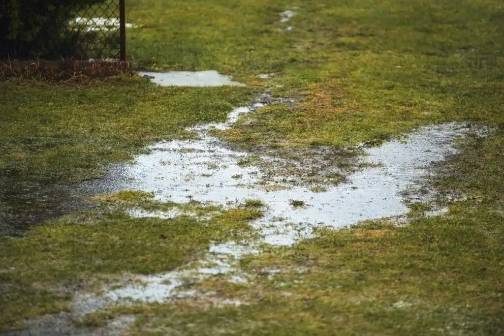 Standing water pooling across a lawn area after rain in Tulsa
