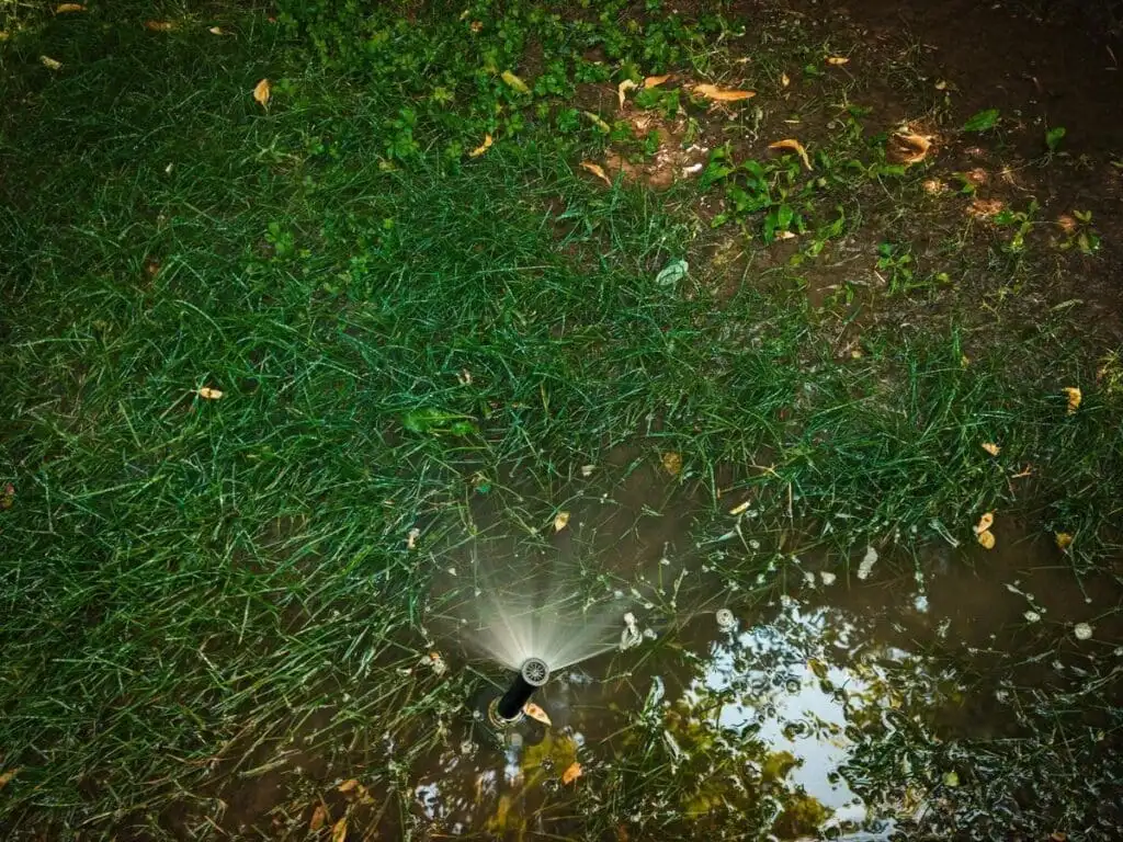Standing water pooling in low areas of a Tulsa-area yard after rain