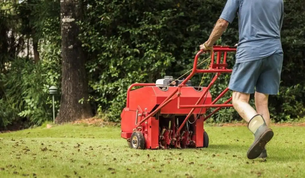 Walk-behind aerator pulling soil plugs from a Tulsa lawn