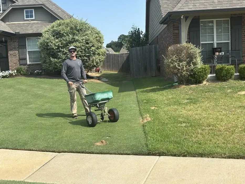 The difference between a fertilized lawn with consistent water versus rain-only