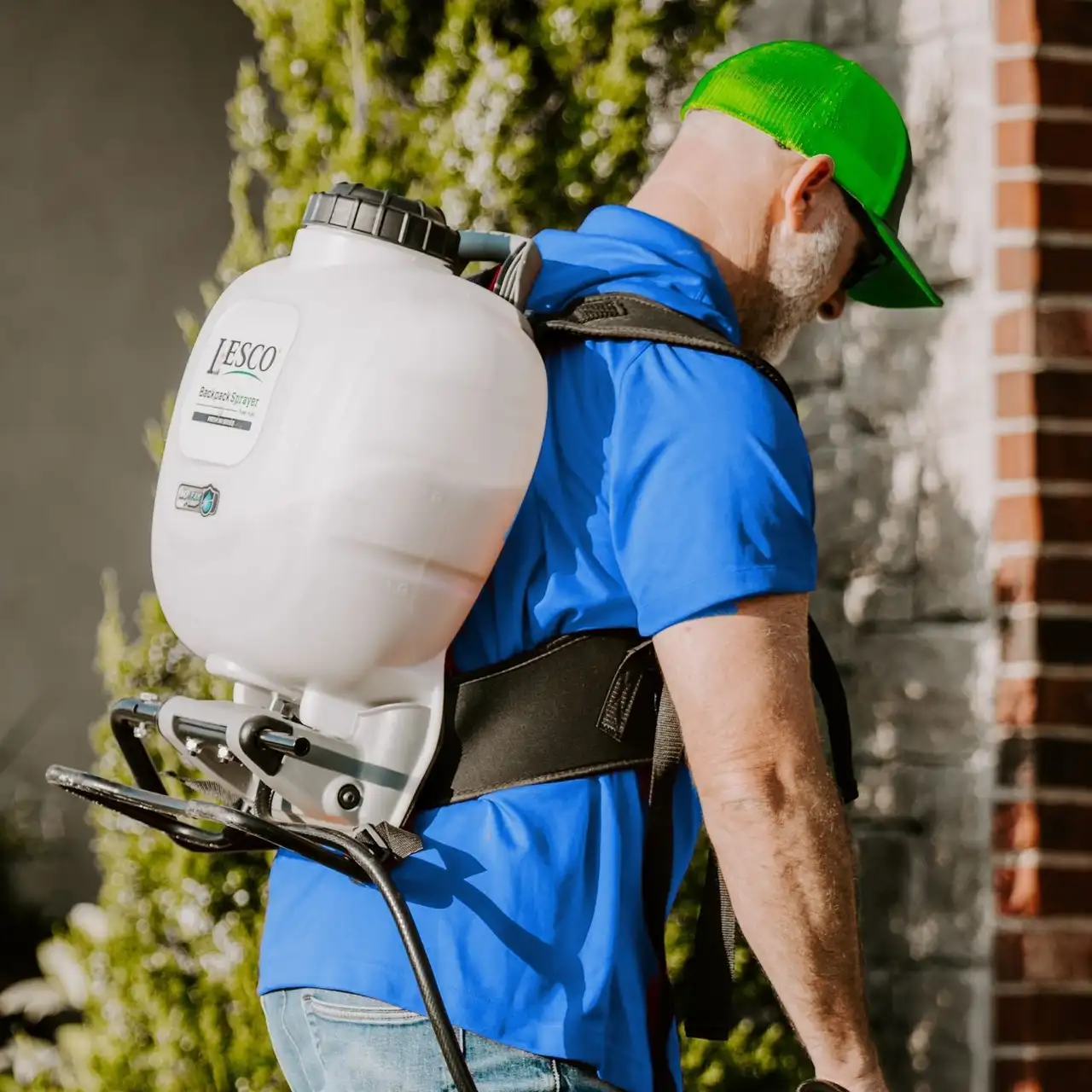 Commercial Pest Control