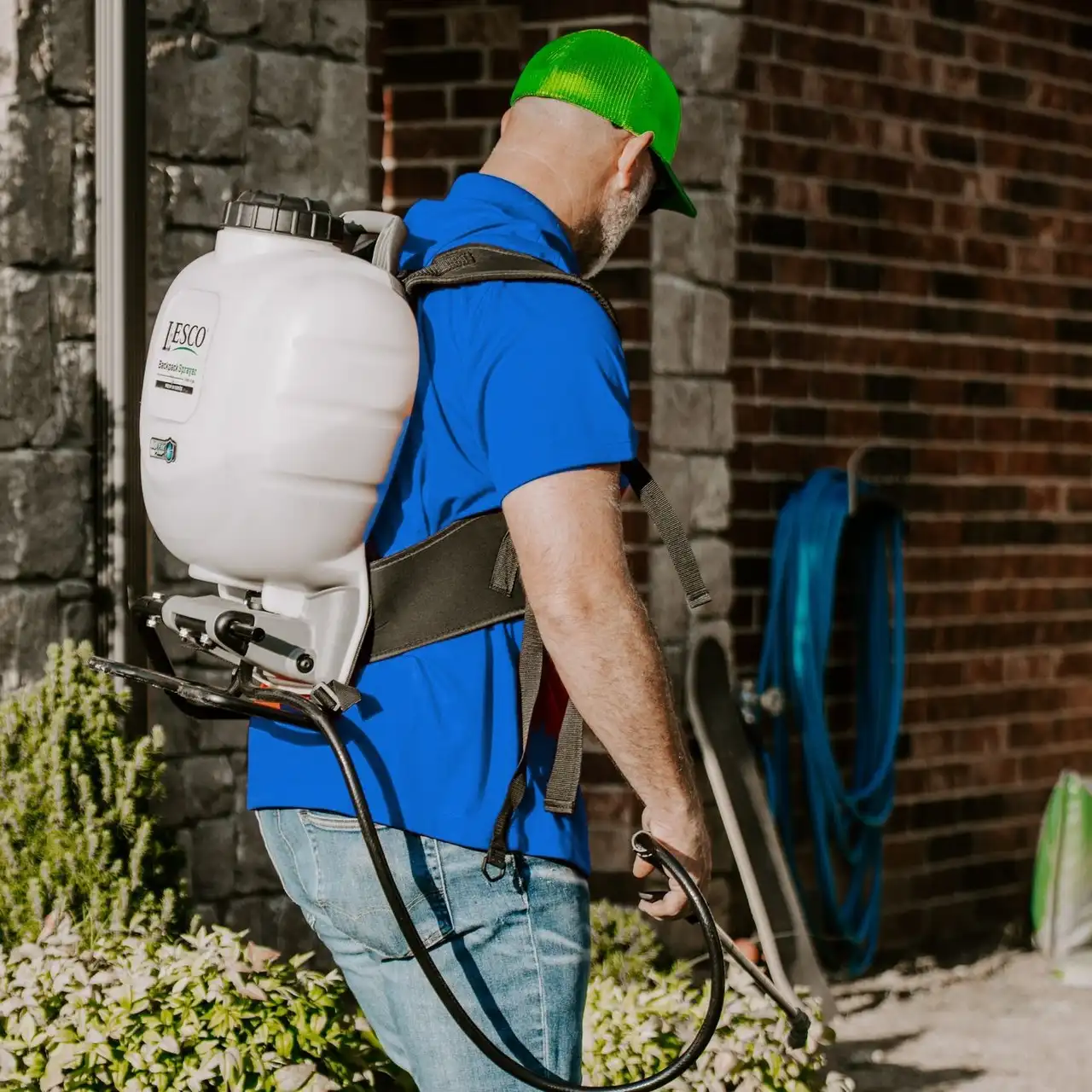 Commercial Pest Control