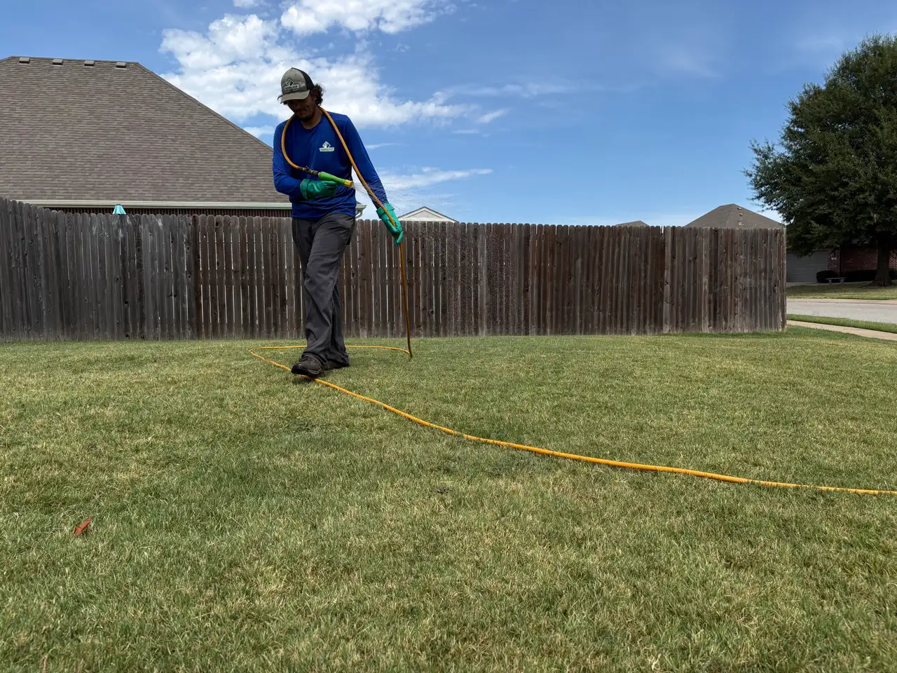 Fall Armyworms and Grubs: Protecting Your Tulsa Lawn from Fall Pests