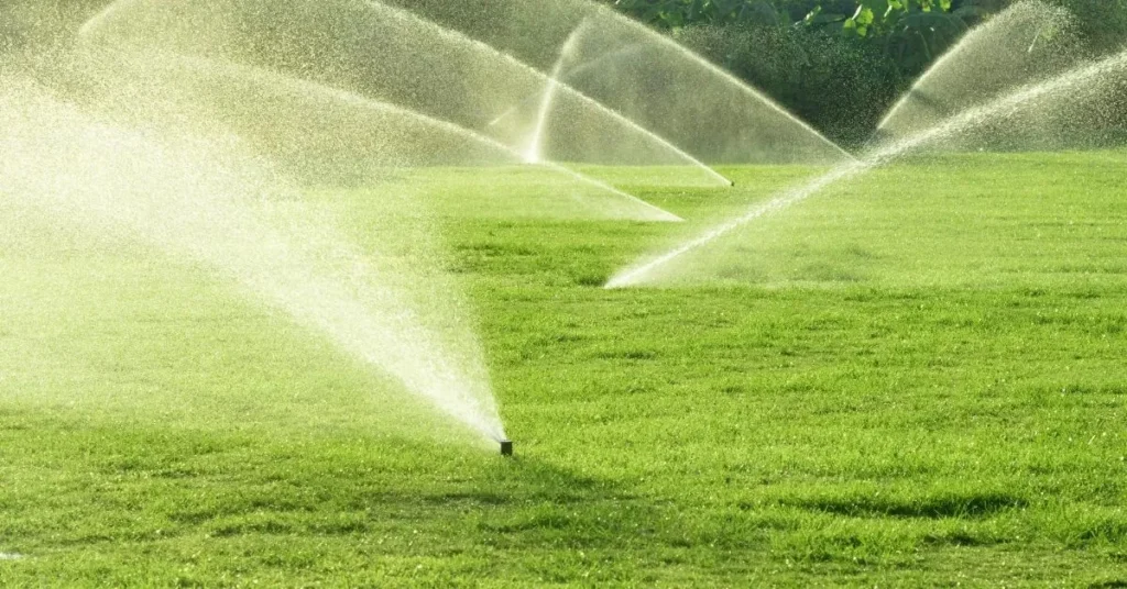 Lawn Sprinkler Repair & Maintenance