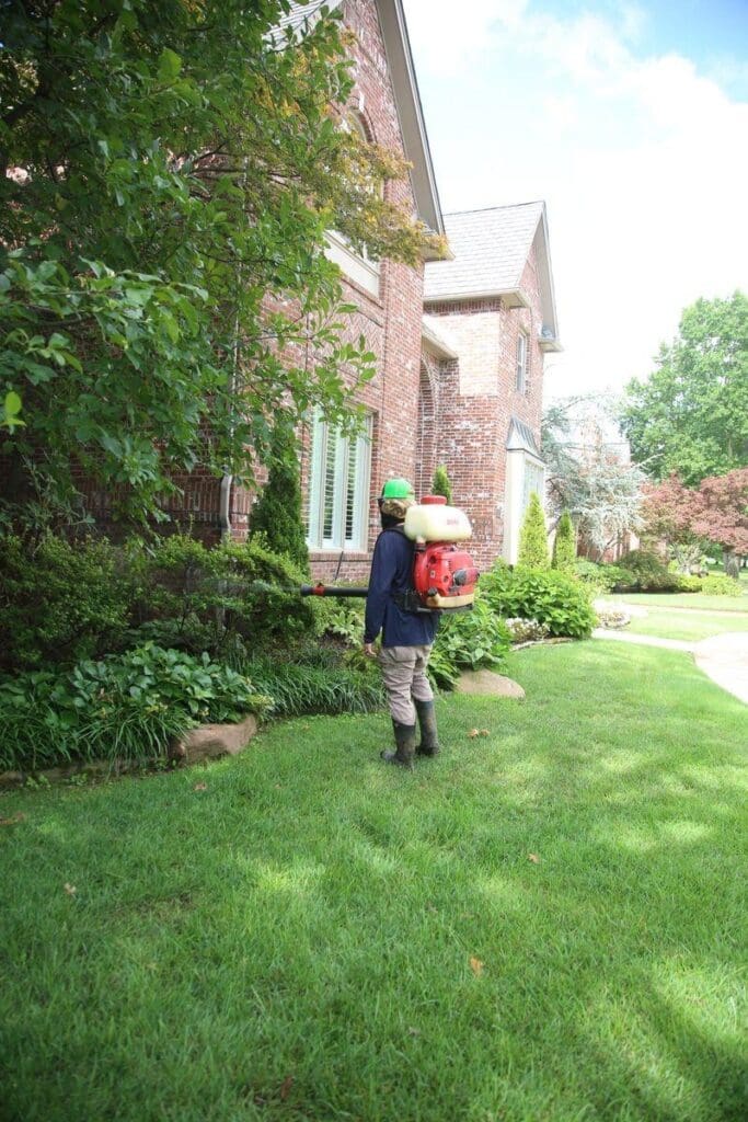 Image of Complete Lawn Care mosquito control technician with backpack mister treating dense foundation landscaping shrubs and hostas at brick home in Tulsa Oklahoma