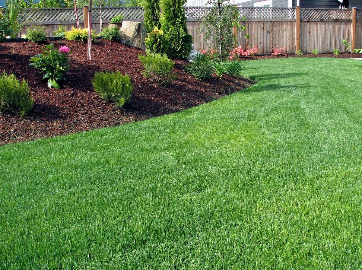 Healthy warm-season Bermuda and Zoysia grass on a well-maintained Tulsa or Broken Arrow, Oklahoma lawn cared for by Complete Lawn Care
